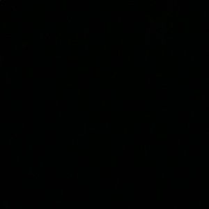 Meet your Posher, Lizzy